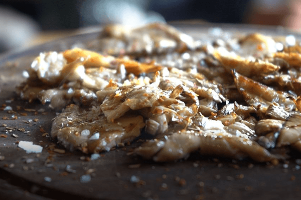 İstiridye Mantarı